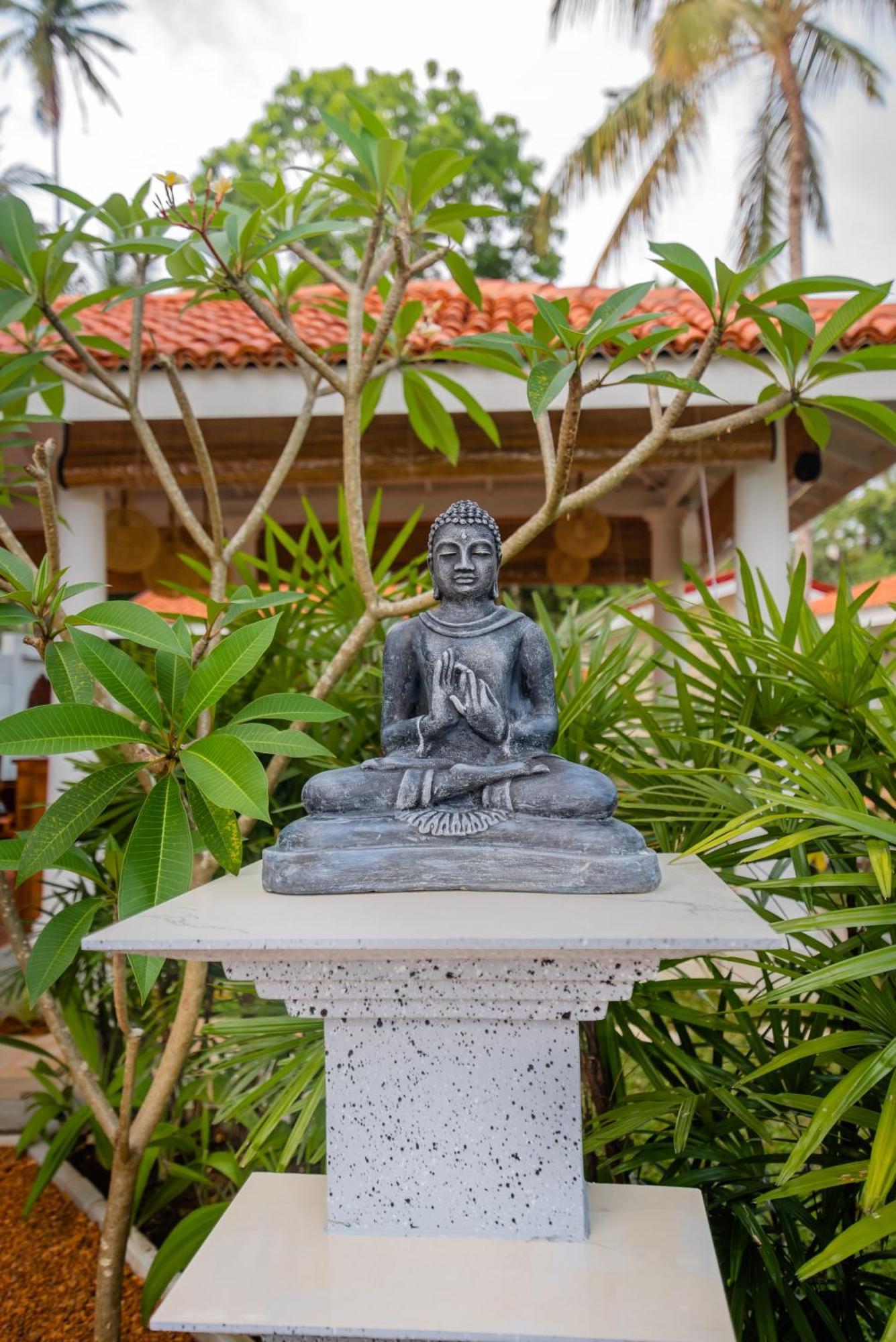 Tree Of Life Resort Bentota Exterior foto